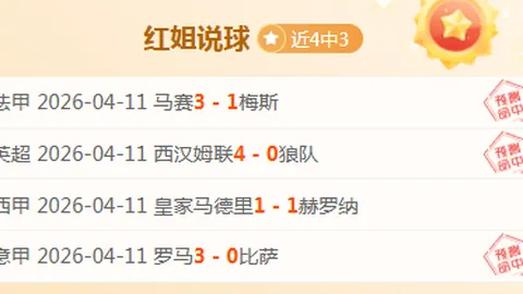 大乐透期号专家推荐：德乙比勒菲尔德主场分析及转机预测